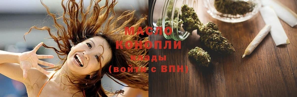 сатива Балахна