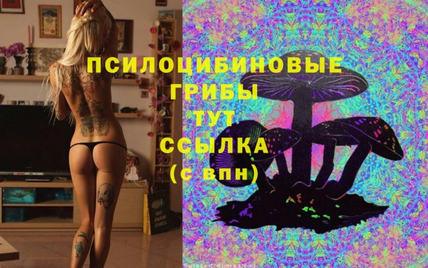 сатива Балахна