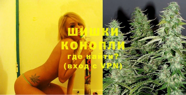 сатива Балахна