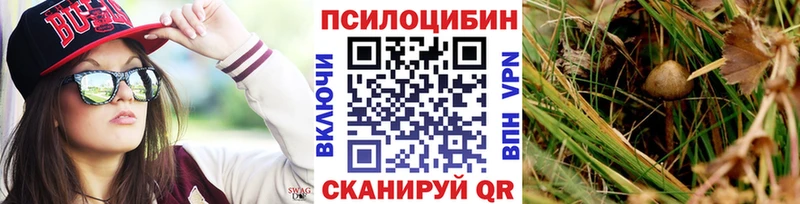 блэк спрут как войти  Курганинск  Галлюциногенные грибы MAGIC MUSHROOMS  купить  